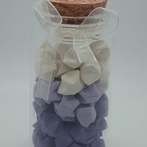 Wish upon a Star (Gradient Purple to White on top)