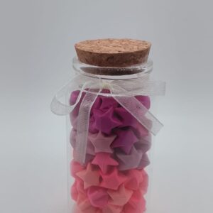 Wish upon a Star (Gradient light pink to maroon top)