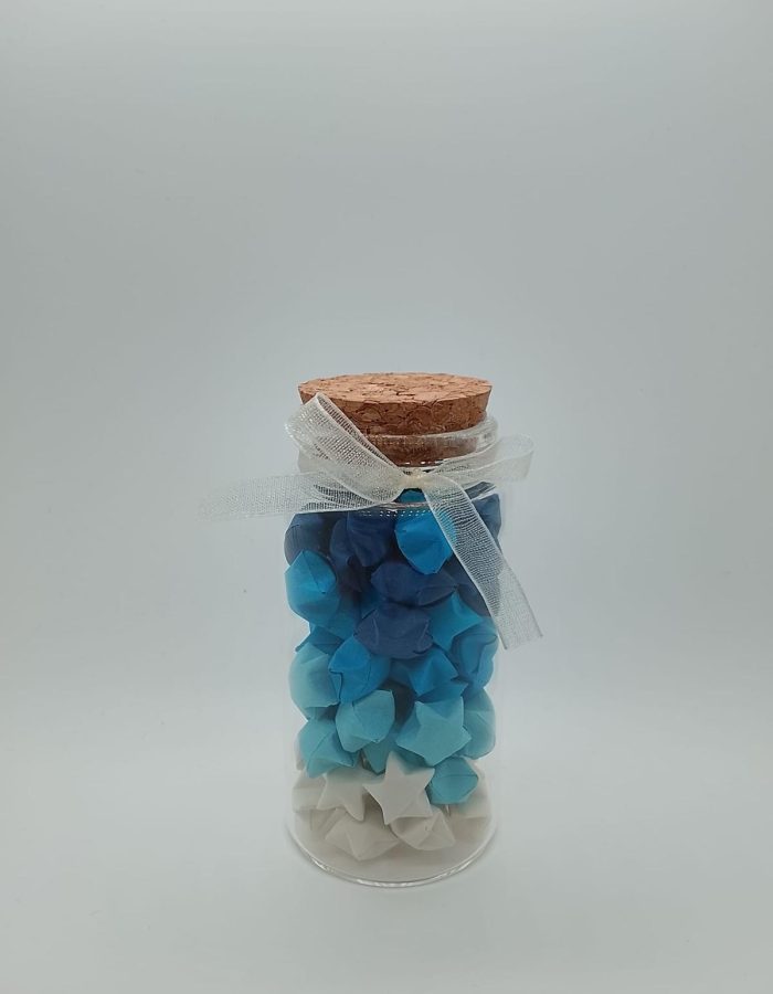 Wish upon a Star Bottle
