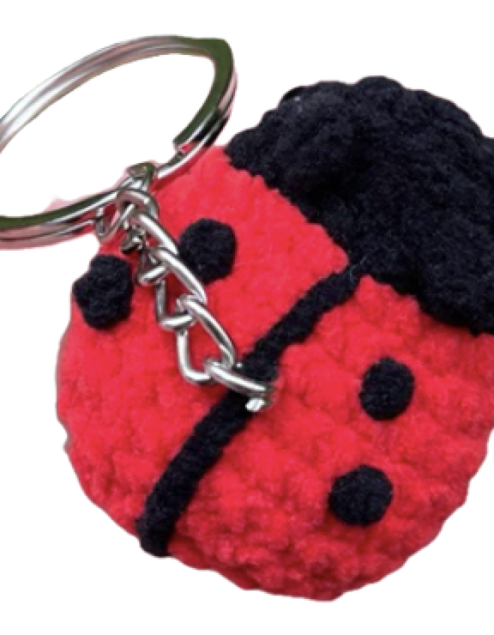 Ladybug