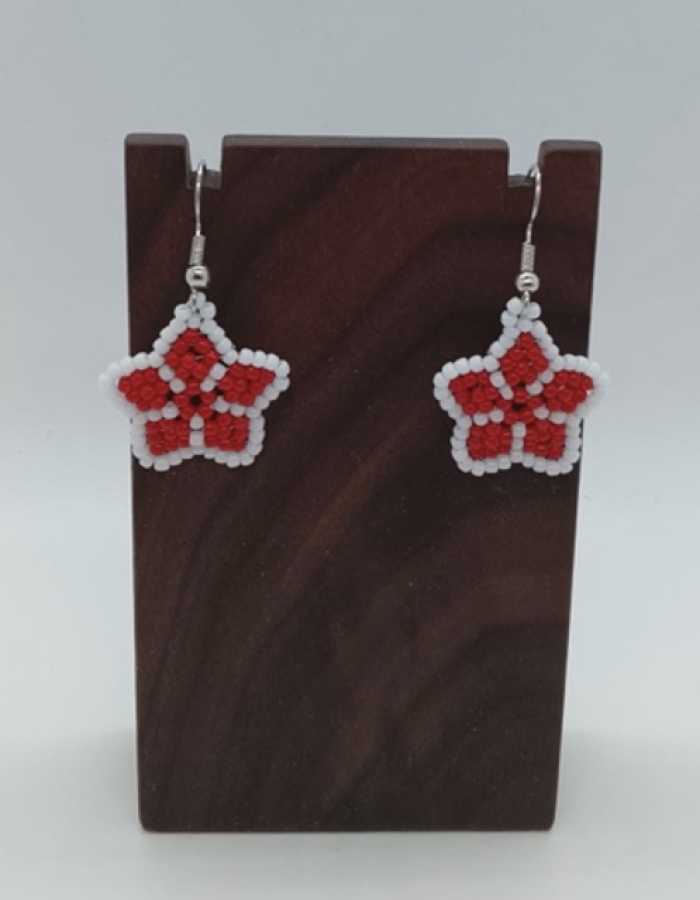 Small Star Beaded Earrings (Outer white, Inner red)