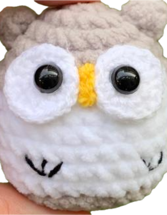 Owl – Hoot Hoot!